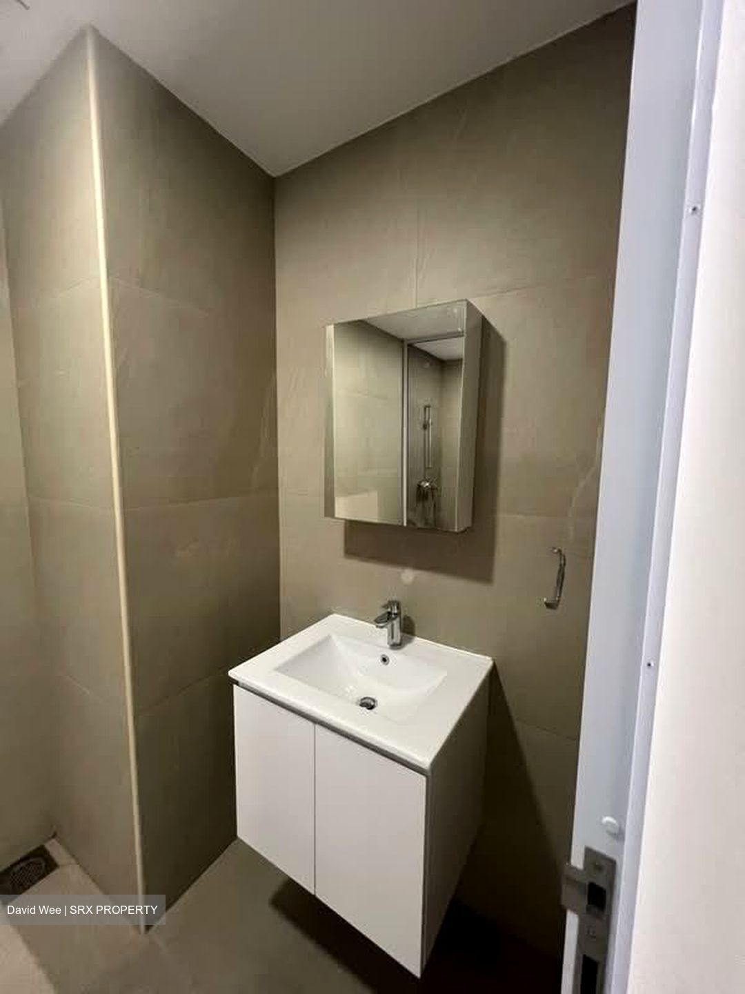 Lion Towers (D11), Apartment #600903891